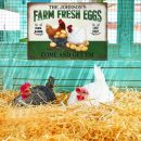 Personalized Chicken Farm Fresh Eggs Green Customized Classic Metal Signs