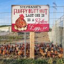 Personalized Chicken Fluffy Butt Hut Pink Customized Classic Metal Signs
