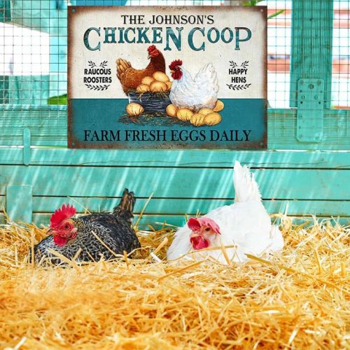 Personalized Chicken Fresh Eggs Daily Turquoise Customized Classic Metal Signs - Image 2