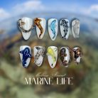 3d-fish-ocean-animal-shark-dolphin-press-on-nails-handmade-nail-art-custom-marine-life-summer-nail-set-for-vacation-or-gift-1.jpg